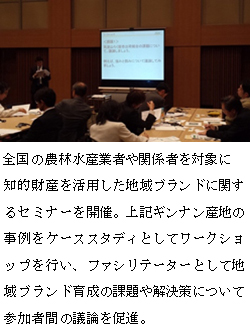 農産物のブランド化を通した農業価値創造